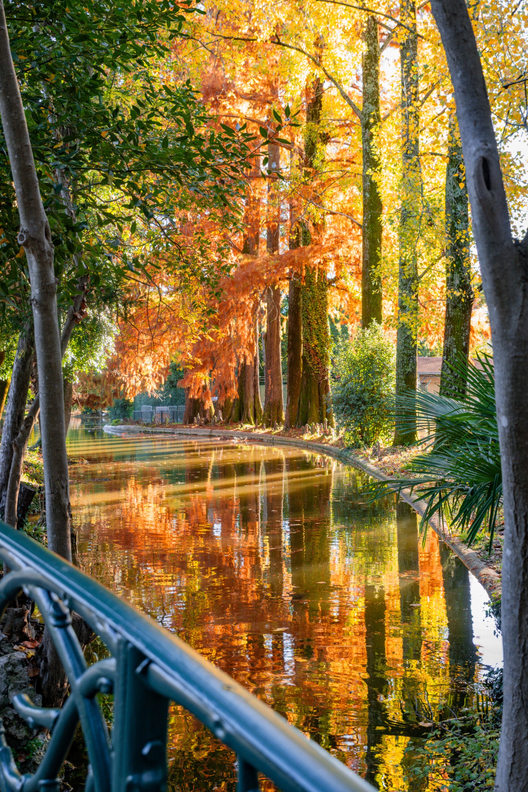 301025-automne-montelimar-Camille David-12